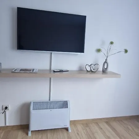 Free Pirin Cosy 公寓 *